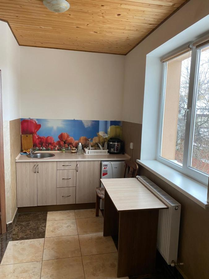 Домашній Затишок Hostel Στρίι Εξωτερικό φωτογραφία